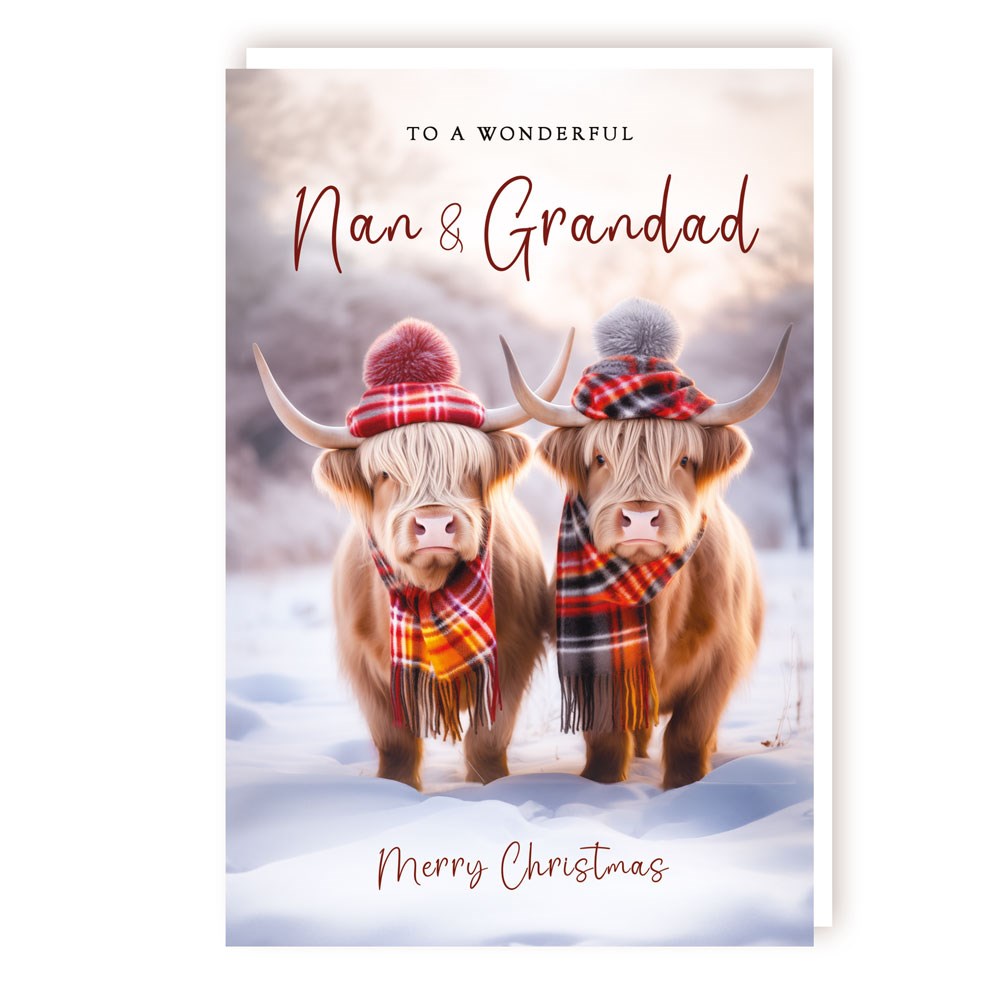 XS645 Nan & Grandad Card